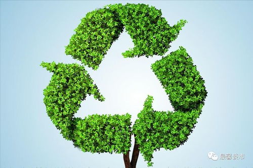 固廢治理 環保產業的核心賽道，聚焦四大潛力龍頭企業